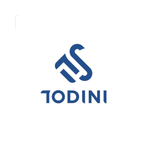 ITS Todini